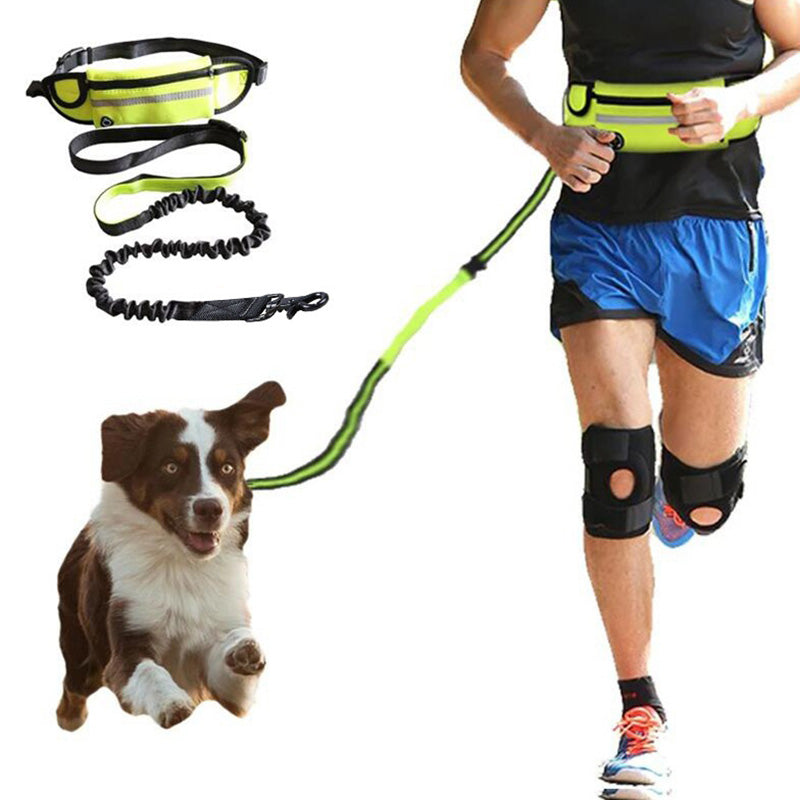 Hands Free Dog Leash Pet Walking And Training Belt With Shock