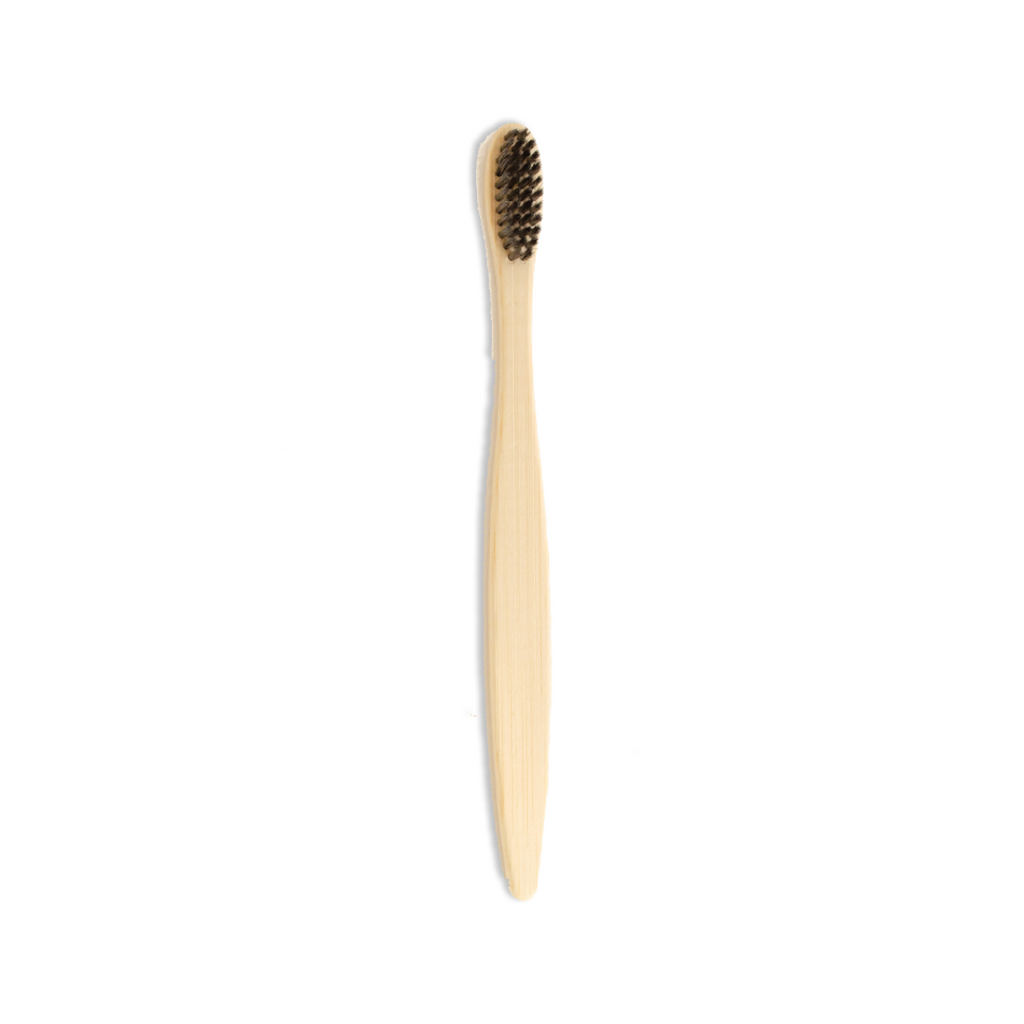 Kiwi Eco Box | Zero-Waste Dental Kit