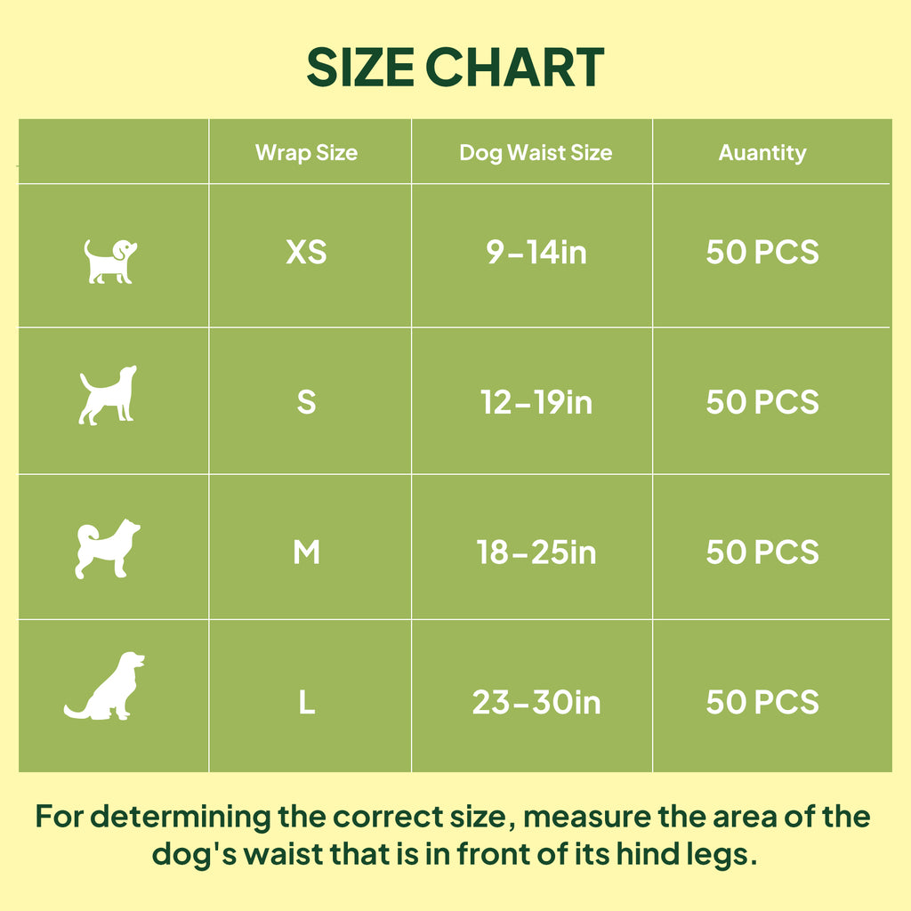 Male dog diaper