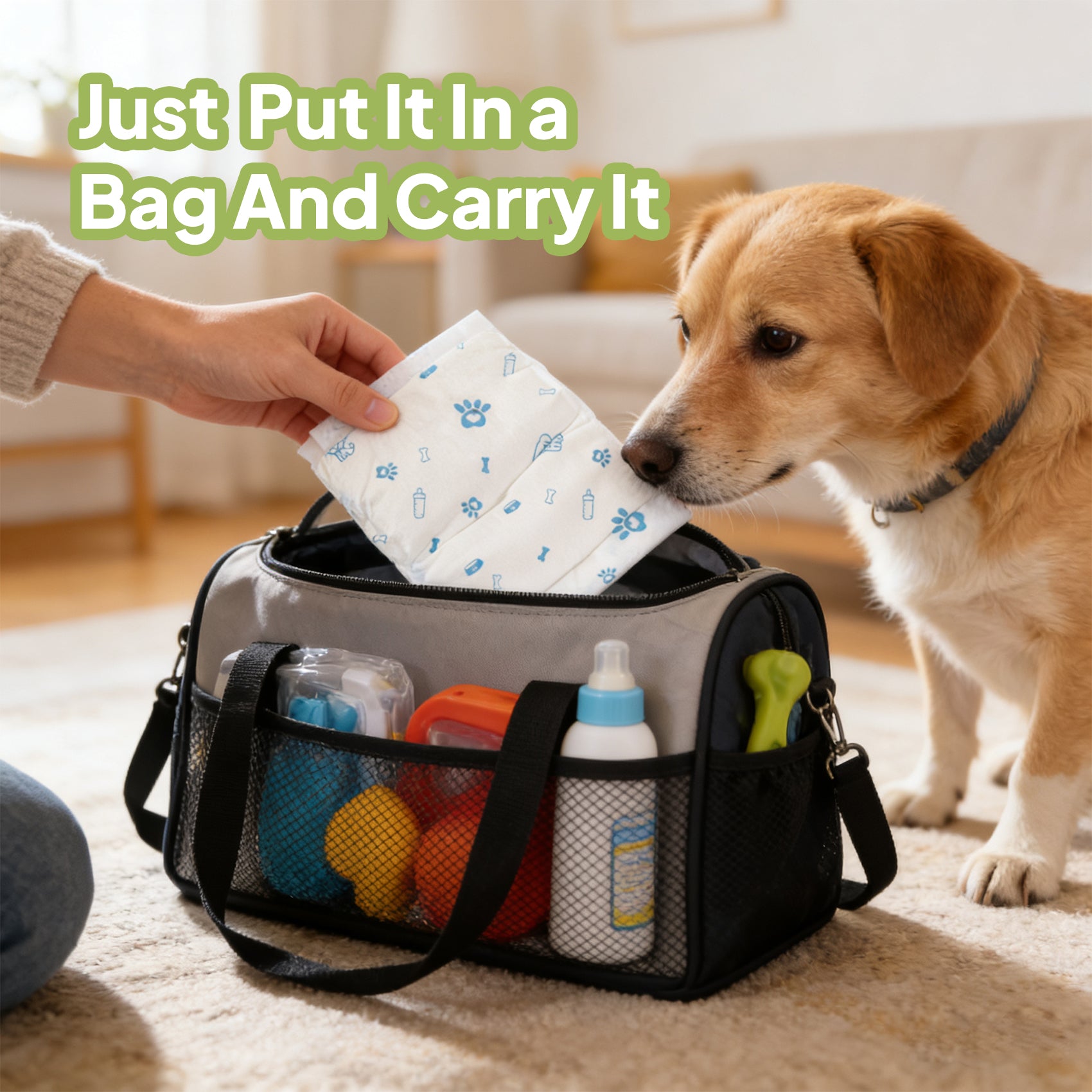 Male dog diaper