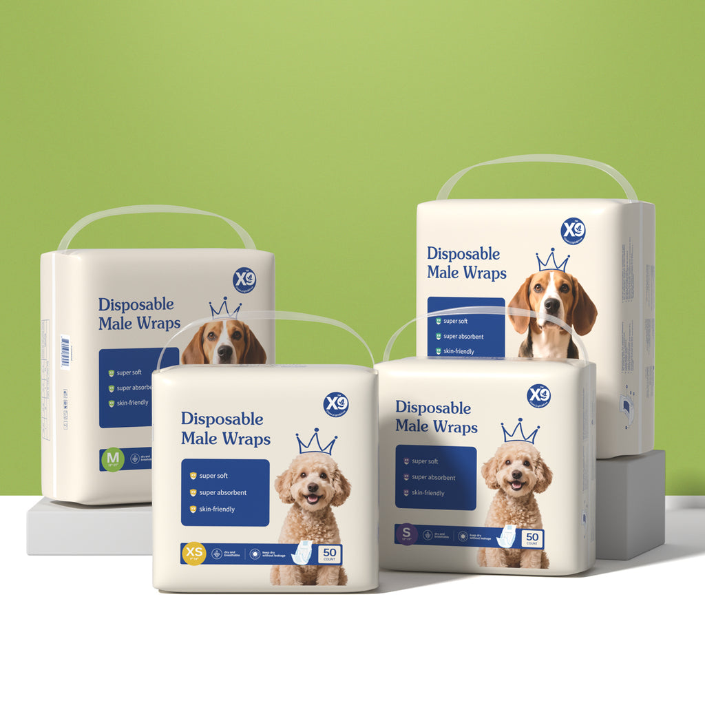 Male dog diaper